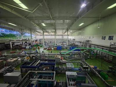 華山腳下，品質(zhì)牛奶的綠色傳奇 從生態(tài)牧場到‘華山之巔’的匠心之旅