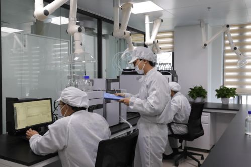 鴻湖膜業自主研發自動化裁切設備，以技術創新驅動調光膜應用拓展